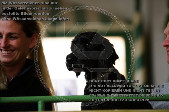 s_K3F02045.JPG